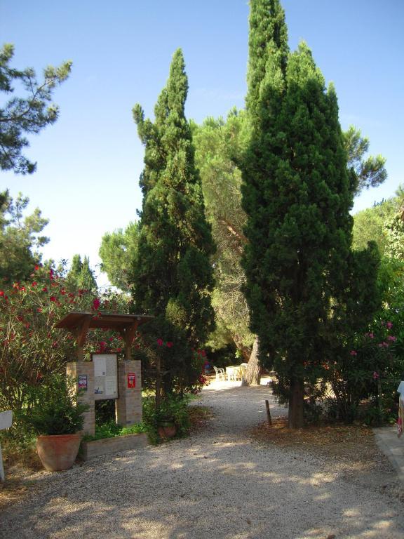 Manade Cavallini - Mas De Pioch Saintes-Maries-de-la-Mer Luaran gambar